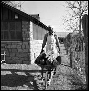 Oliver Jacobs with a Wheelbarrow