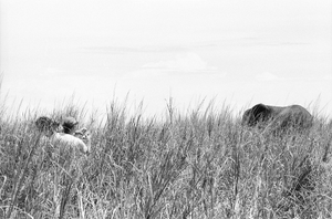 Eliot Elisofon and cameraman George Bracher filming wildlife. Virunga National Park, Congo (Democratic Republic)