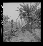 Newport News, Virginia. Negro shipyard worker at his rural home