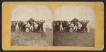 Utica Citizens' Corps, Camp Greenman, Saratoga Springs, 1869