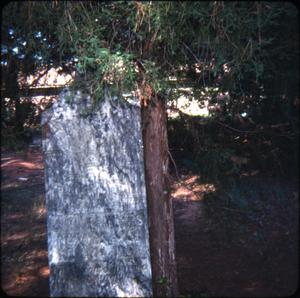 Gravestone of J. W. Sanders