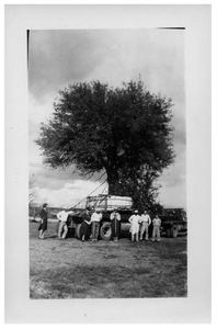 People in Front of a Truck and Tree