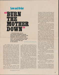 News Clippings, Black Panther Party