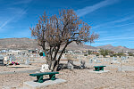 Called "El Paso's Boot Hill," Concordia Cemetery contains the remains of more than 60,000 people, including black "buffalo soldiers" (whose headstones are shown here), Mormon pioneers, Texas rangers, and gunfighters, including John Wesley Hardin. El Paso, Texas