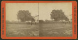 No. 34-35, Two views. Dress parade of the First South Carolina Regiment (Colored) near Beaufort, S.C. The only view of this regiment ever made