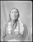 Little Hawk, Brule Sioux, South Dakota. U. S. Indian School, St Louis, Missouri 1904