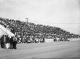 New Farmers and New Homemakers of South Carolina in the Grandstand at the Negro State Fair