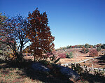 Little Round Top, Gettysburg National Military Park, Gettysburg, Pennsylvania