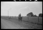 [Untitled photo, possibly related to: Negro cowhand in Hale County, Alabama]