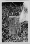 [Grave of Uncle Joe; died 1888; tombstone erected by B.J. Hoole, son-in-law of General John L. Hunter; "In memory of a trusted slave who continued as a servant after he was freed"; Fairview Cemetery, Eufaula, Alabama]