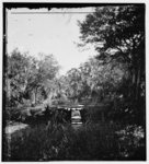 [Savannah, Georgia]. Bridge over stream
