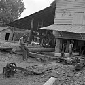 Worker on log