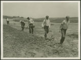 Men plowing and seeding drained land