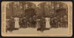 Little Negro tea pickers singing pickaninny songs for President Roosevelt, Pinehurst Tea Farm, Summerville, S.C.