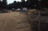 Othar Turner making fife, Senatobia, Miss., 1976.(Turner Fife Ferris 018)