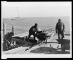 Annapolis, Md., 1936, unloading Chesapeake Bay oysters from a 'tonger', preparatory to laying up the boat for the weekend