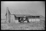 Thumbnail for At a Negro farmhouse near Greensboro, Alabama