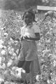 Little girl picking cotton in the field of Mrs. Minnie B. Guice near Mount Meigs in Montgomery County, Alabama.