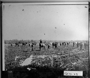 Photograph of workers on the farm of S. D. Cherry, Seminole County, Georgia, 1907 Feb.