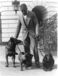 [Robert R. Robinson, kennel master at the White House, with pets of Herbert Hoover, King Tut, a Belgian police dog; Whoopie, a schnauzer; and Englehurst Gillette, a Gordon setter]