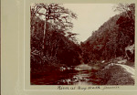 View of Pedro River and Dirt Road in Jamaica 1904