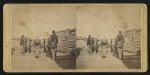 A big gun on Morris Island, Charleston Harbor, S.C.