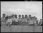 Corpus Christi, Texas. Mexican and Negro farm labor