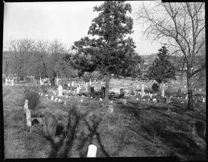 Columbian] Harmony Cemetery, April 1960 [cellulose acetate photonegative