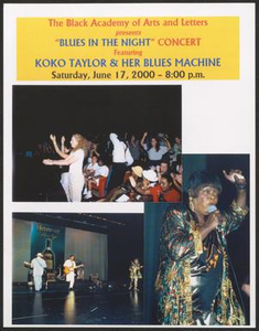 Flyer: Blues in the Night