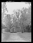 [Untitled photo, possibly related to: Negro shack near Beaufort, South Carolina. Negro living there is a bricklayer]