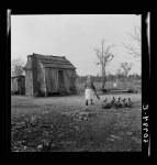 Negro's home near Beaufort, South Carolina