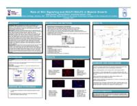 Role of Wnt signaling and SULF1/SULF2 in muscle growth