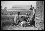 [Untitled photo, possibly related to: Negroes shooting craps behind tenant house, disposing of their cotton money on Saturday afternoon, Marcella Plantation, Mileston, Mississippi Delta, Mississippi]