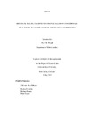 Historical trauma: the impact of colonial racism on contemporary relations between African Americans and Mexican immigrants