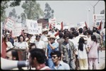 United Farm Workers picket