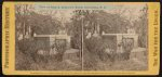 View of John C. Calhoun's Tomb, Charleston, S.C.