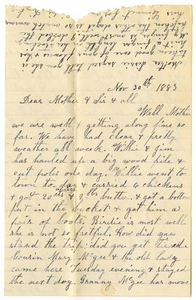 Letter from Dinkie McGee to Matilda Dodd and Mary Ann Moore, November 30, 1883