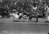 Sunflower carnival parade