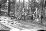 CCC construction projects at Crabtree Creek Recreation Demonstration Area, circa 1936-1940