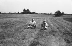 Men in grass [Slide Farm-16]