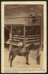 [African American men tending a horse]