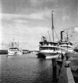 Iloilo (Philippines), S. S. Princes of Negros and S. S. Mayon at wharf