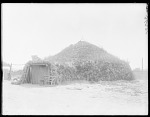 Pawnee lodge: earth house of Pawnee Indian. U. S. Indian School, St Louis, Missouri 1904