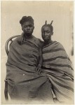 Negertypen aus Akem & Akuapem Goldküste Negro types from Akem and Akuapem Gold Coast