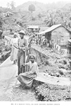 Thumbnail for In a Maroon town, Jim Crow country, Eastern Jamaica