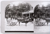 Florida "cracker" at corner of Forsythe and Ocean streets, Jacksonville