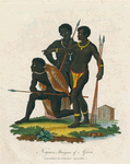 Negroes, aborigines of Africa