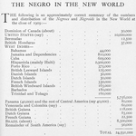 The Negro in the new world