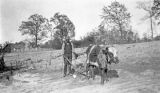 Parson, an African American man plowing with an ox in rural Wilcox County, Alabama.