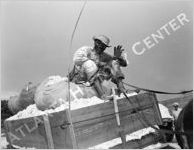 Cotton Farming